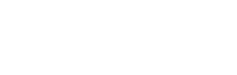 Monarch Infotech